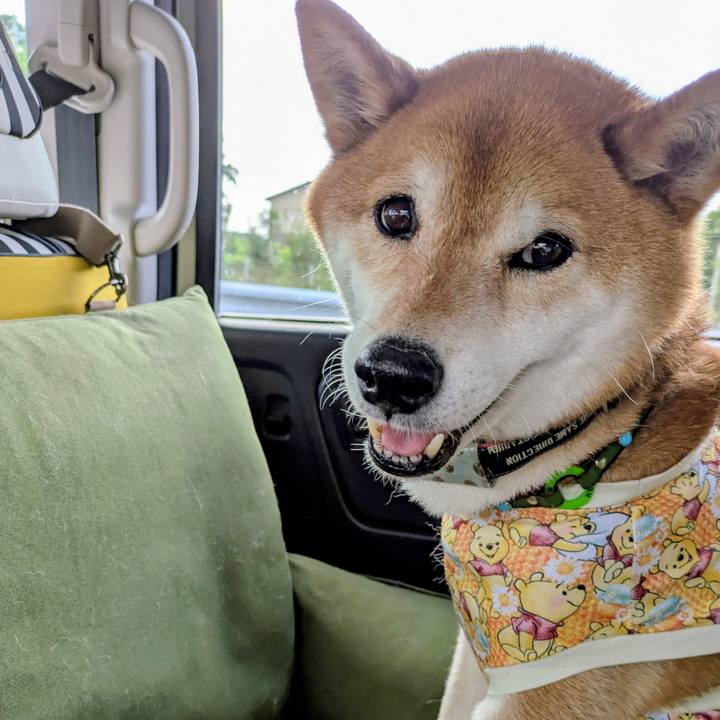 883112f6 b2e2 4ebf bdc6 096983d6bb00 1750731941526