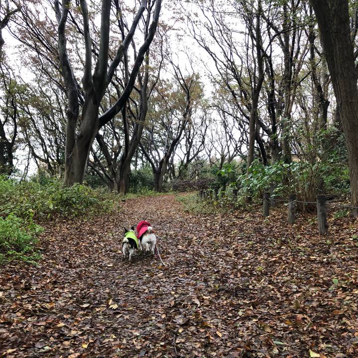 883114c5 f62a 45de 83dc 0d64cf4c8b8f 1571961526880