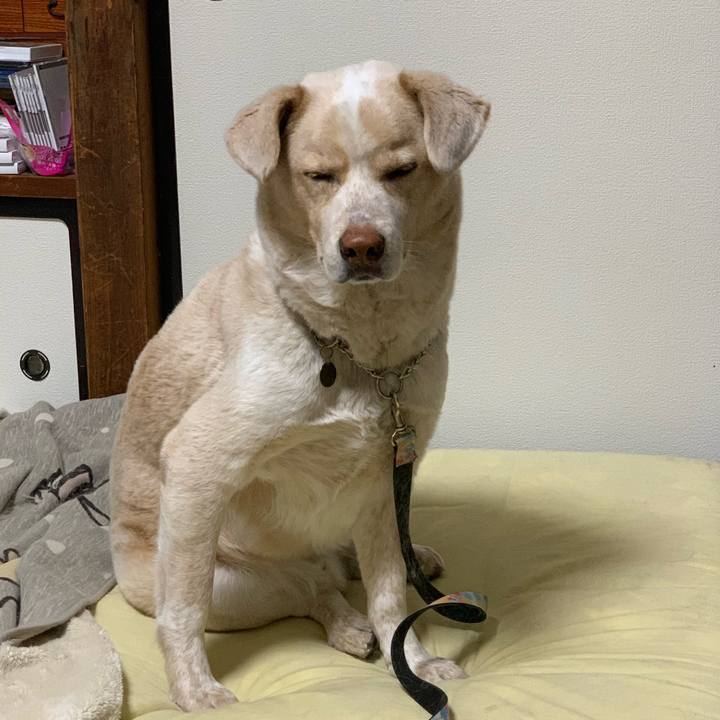 8831256e c95f 4cfa 8f3d 520da71beade 1550158031594