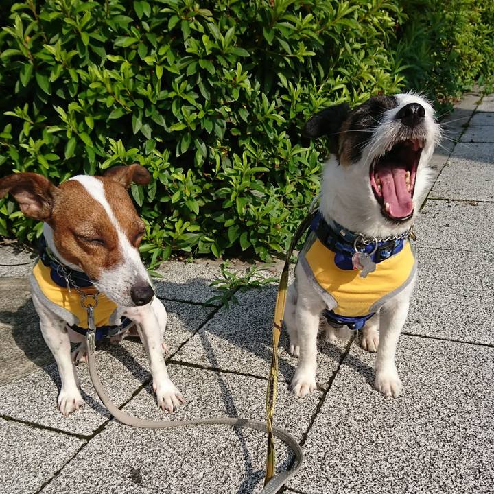 883130bf 92a0 4ce0 b2e8 5438cc905cb6 1592260417844