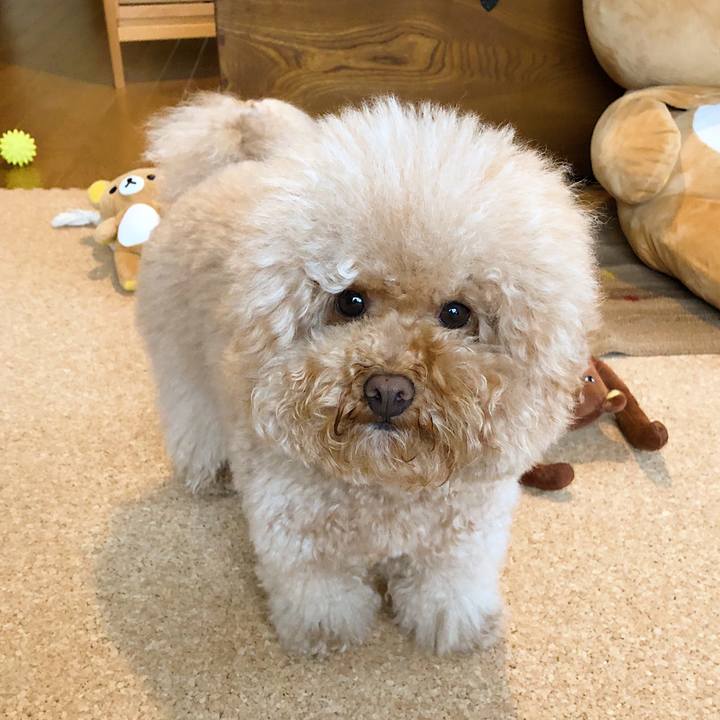 88313736 547c 48c3 91bc c73f28fc2d37 1518668193284