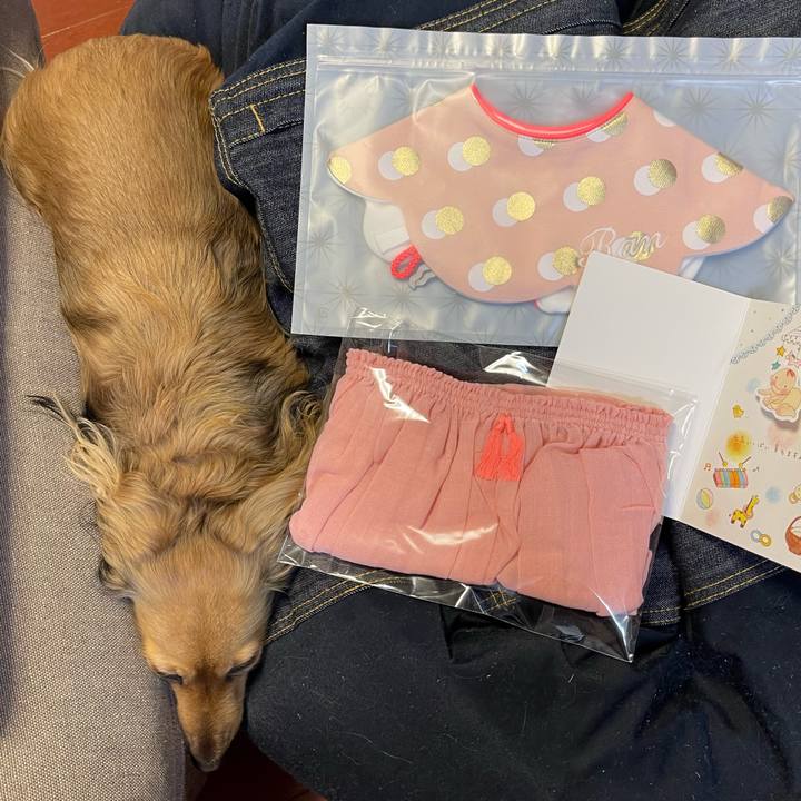 883152ed f2a9 46bc 98cc a7bcbdcf9725 1739351388317