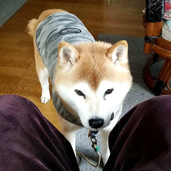 88315ab4 d8c1 484a b712 21b613768608 1645597531036