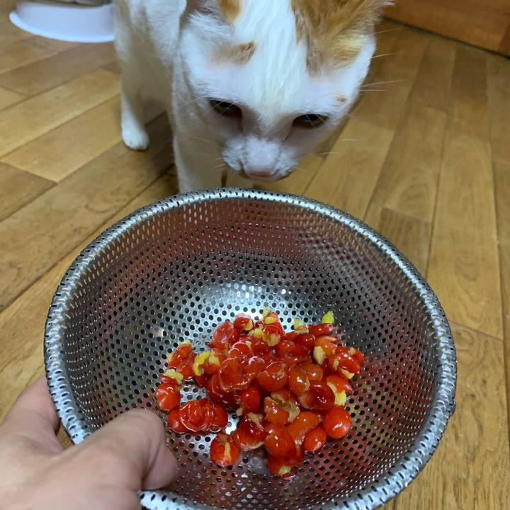 88319af1 5ad8 423b aa9a 62efb5f9c02a 1619099354749