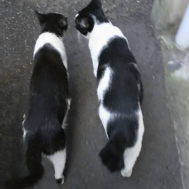 8831b7b3 f93c 4fed a9c2 c9f6463f2ce3 1542959487286