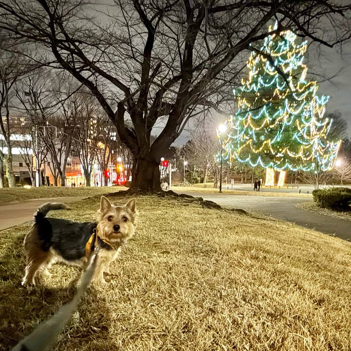 8831cf8b ff9b 4fca b319 9ab3221b090e 1766414125782