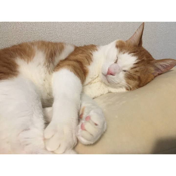 8831d7ef f684 4ab9 a0cb ce574b02e55b 1583671110069