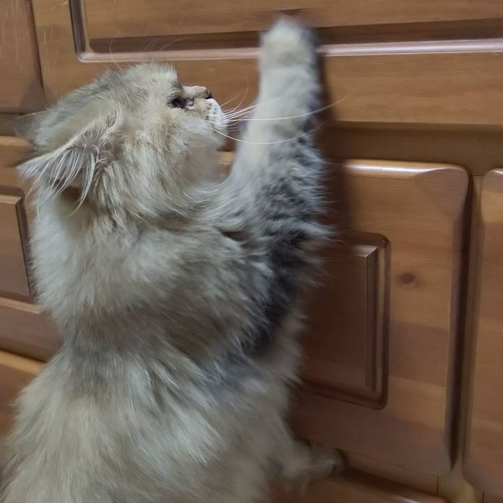 8831e163 4b87 469c ad65 dcd2cde83ce8 1631712331387