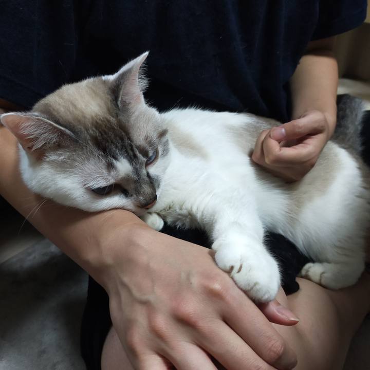 8831efbc b4b2 4807 ac70 818cecfffe47 1600250019158