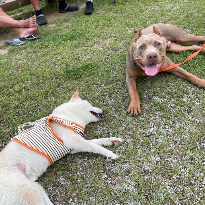 8831f3c4 4ee2 481c b241 6ad16fd42100 1655992053061