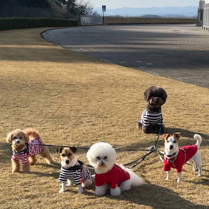 88321934 c101 4f0a 9693 afb20f9ca8e4 1615366256571