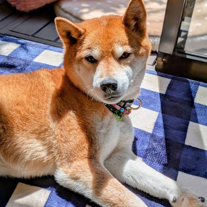 88321de1 1c98 494b 9dd8 3cb8b145a8ae 1744193075820