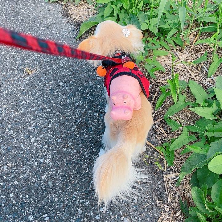 88327ff5 fbe0 454b 851d f50e3f05dd97 1624453517453