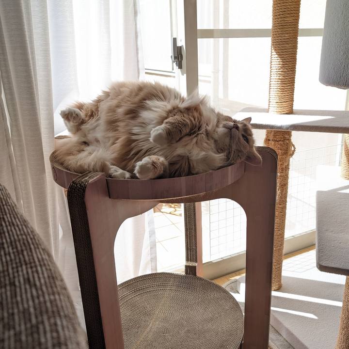 8832c603 354b 4abb 84c8 50474f9cfe73 1709519676406