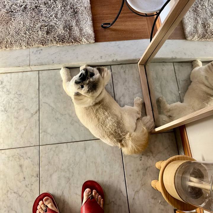 8832f17a e64d 4b8f bd55 be9bdf8259dc 1756612342112