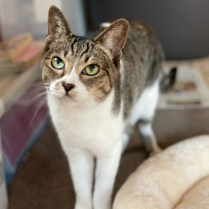 8832fa66 7973 4f0a ab31 98648bb9b34c 1607997272432