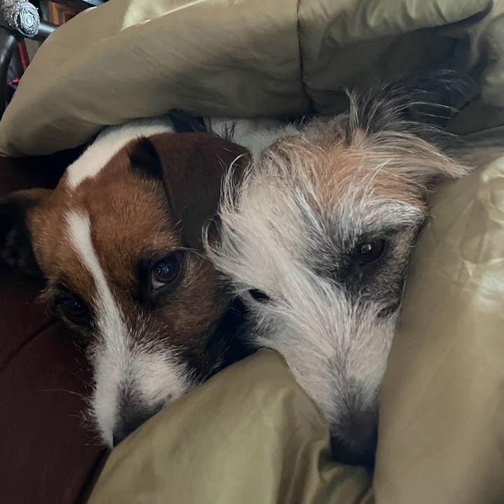 883308e1 ff8c 4fbe ac67 c32c8fad0d4f 1700280232634