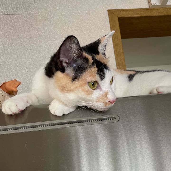 88332290 061d 4d63 a342 34a4dbe06493 1687051591183