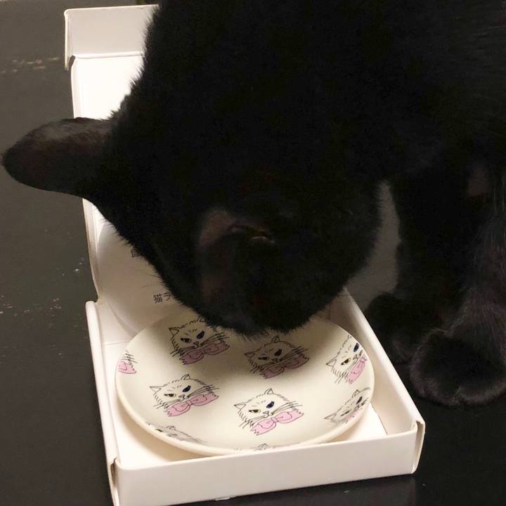 88334aa3 4c48 43c1 a3f1 edb23aceded1 1551281875238