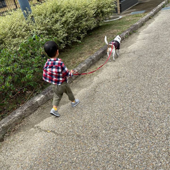 88335fb8 67da 458c 99ab 0b4bfd77d95e 1603011368511