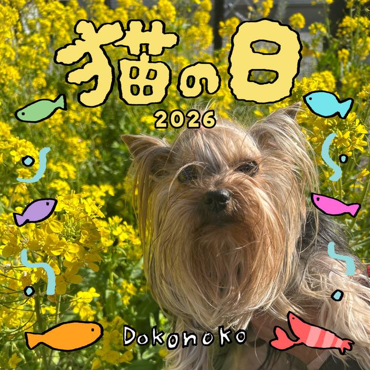 88336728 b76a 4028 aebe 3b7805b022fe 1771721167433