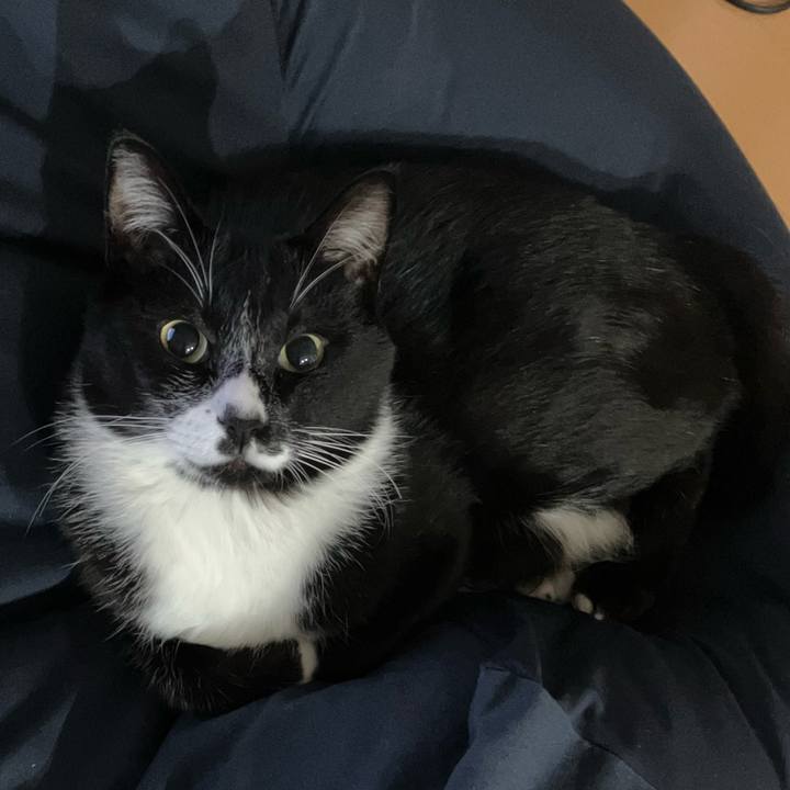 88339de4 f9d8 4583 97df e084f8056f4d 1669605670096