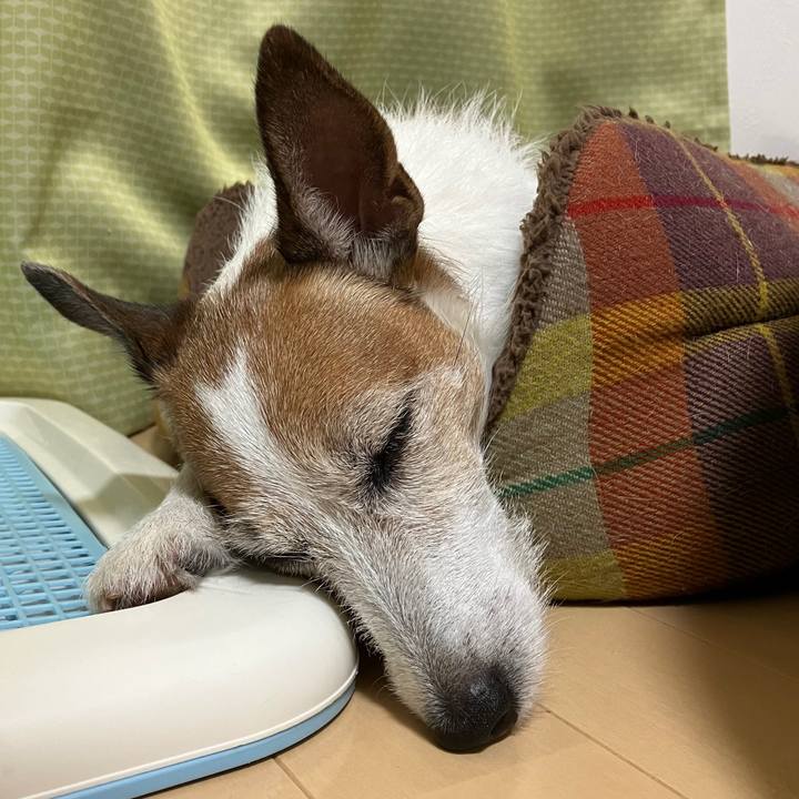 883411ff 8d15 4b68 8d01 149d035eb56d 1663567727685