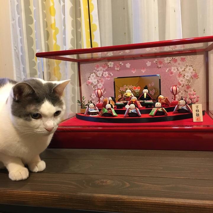 88342c64 a3e8 4c00 ac4f b51f8575dbd6 1520061438830