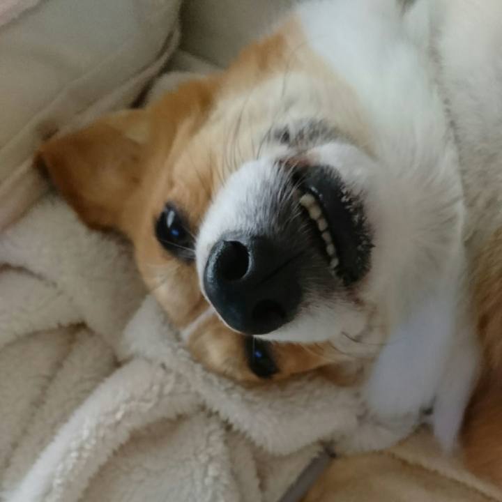 88344bed 91e4 4c03 9f91 fa6e66776aff 1524462906062