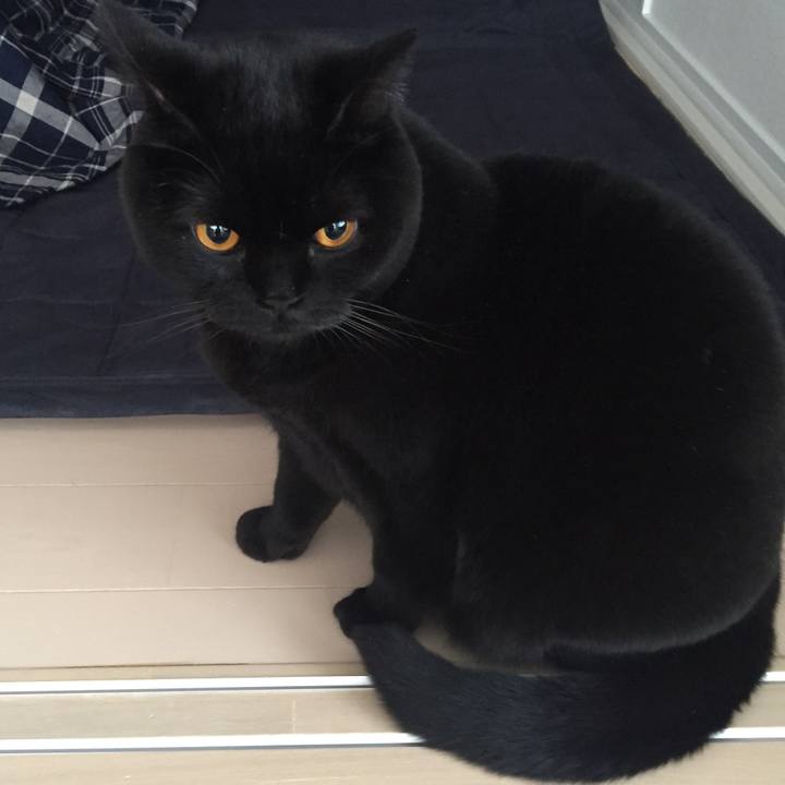 88345388 ada6 42ae 81da 153b053db2f4 1514677062648