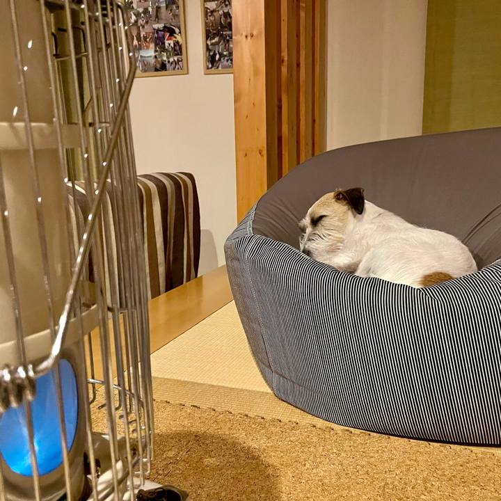 88345aa7 330a 4645 af92 5ab849a3ba86 1645715018813