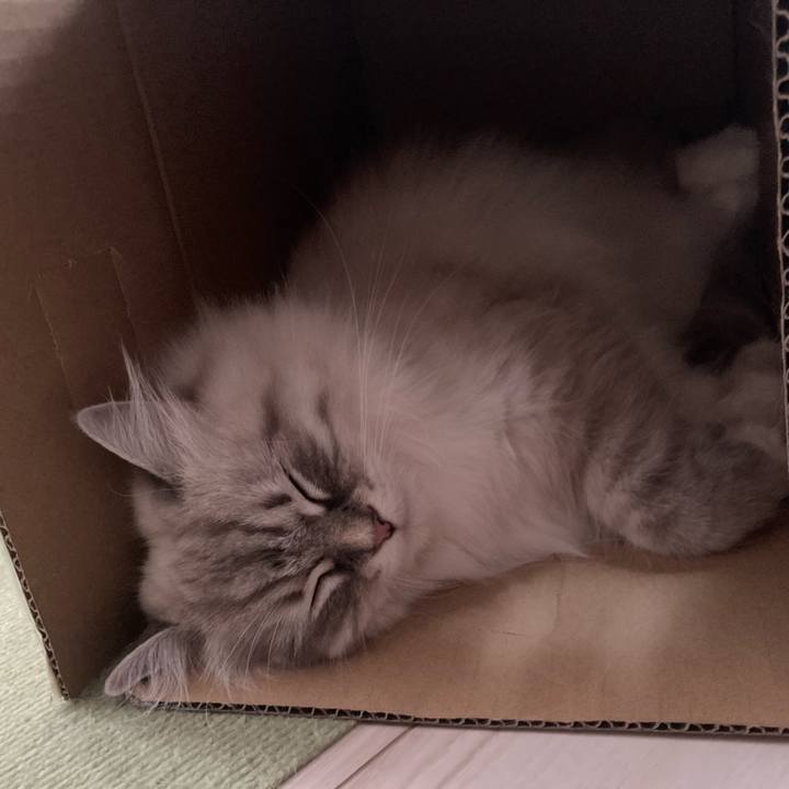 88346bd9 14bd 4ad2 9c8f 6f89a3f66577 1719839261807