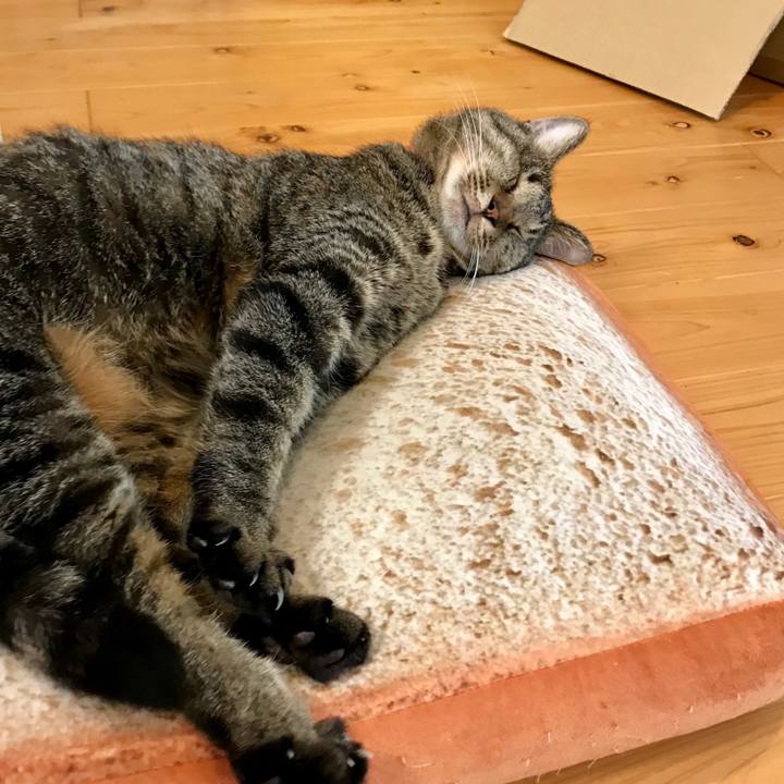 883472dd 6be1 4435 af0e d6a7e670ebaf 1535673709459