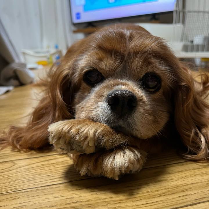 88348162 5556 48af b2b2 175d4842907a 1768776423155