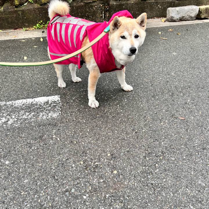 8834f207 1d9b 4ac1 b45f 6d21a3bdb3b0 1748580995452