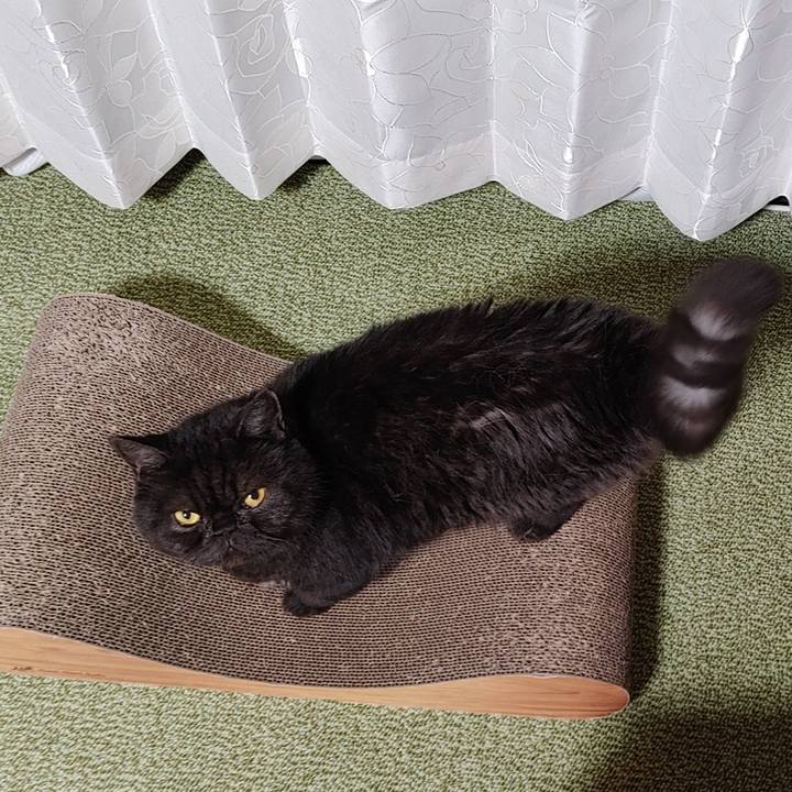 88352738 9f5e 4b8a 9a77 9a42476f1148 1689987909984