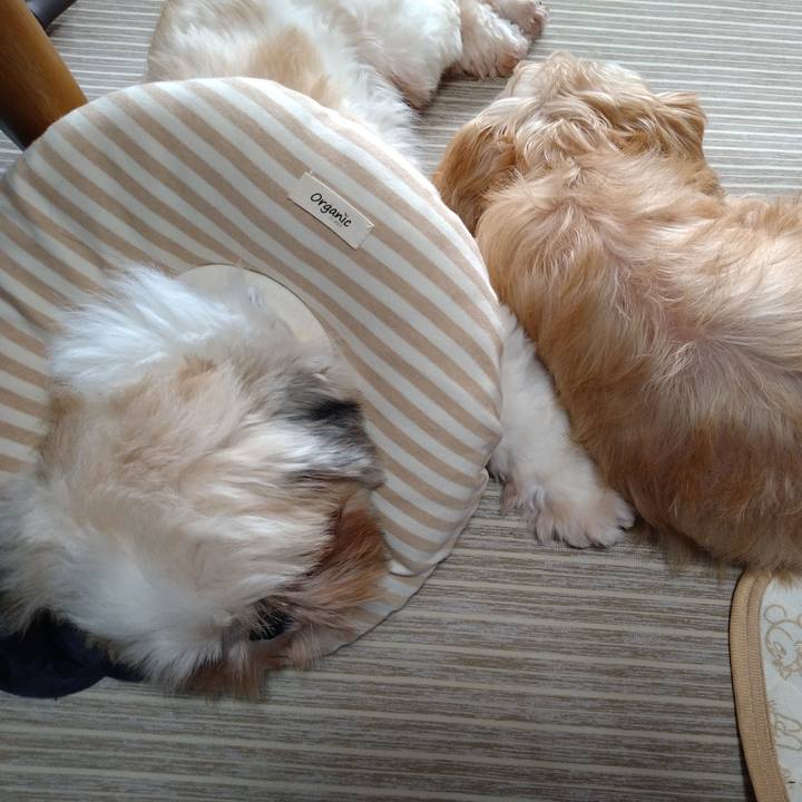 88353665 3c7e 4df8 80e5 ba2745da6206 1603163919351