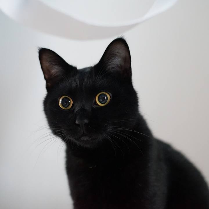 883594a6 41dc 4357 bbf1 60137cdc53f8 1529808482172