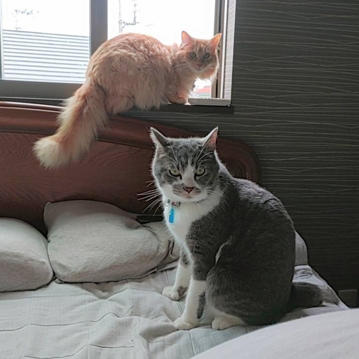 8835fe55 4431 4bc5 979f 152639e45523 1685084833356