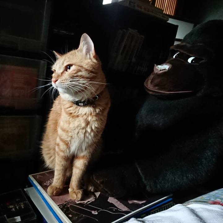 883606c9 5cac 44be 9c41 6f78d5ed30ab 1657745335305