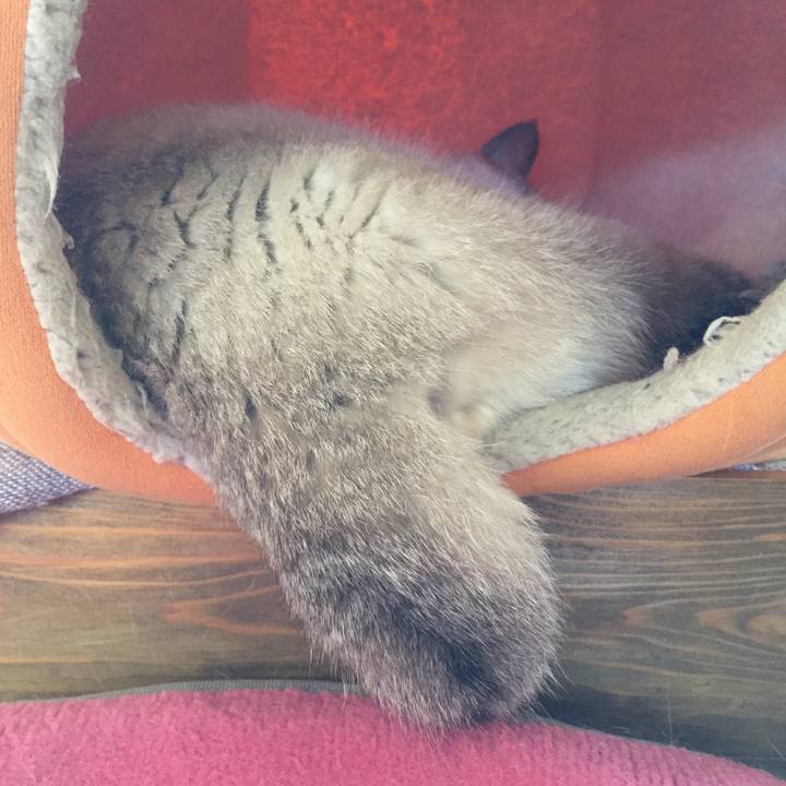 88362d4e 378b 4c98 b92c fc98353fd590 1539145534070