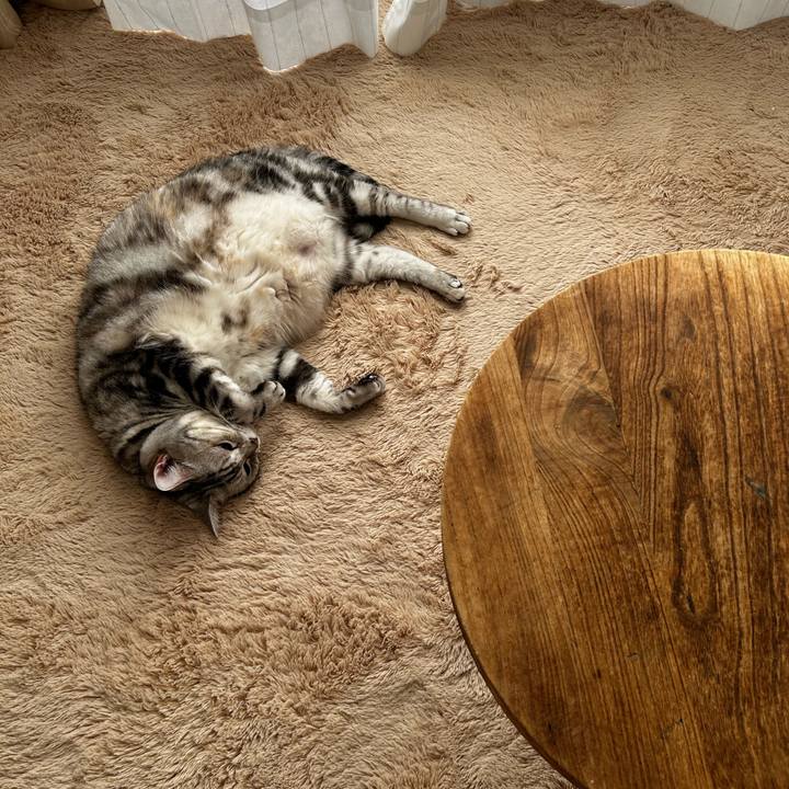 88368764 d885 44d1 b06a 96af81e47aac 1766010371213