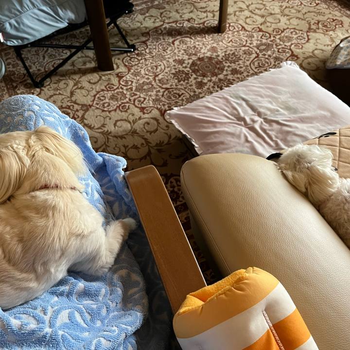 8836a7e6 ab5a 4522 a377 7fa8250254df 1720322349834