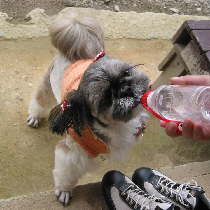 8836aced c02b 4e29 96ab bc86a0625d43 1623160834962