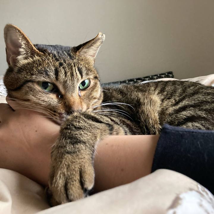 8836c1c4 7c93 42b0 b762 4231f6bde3e2 1648864628886