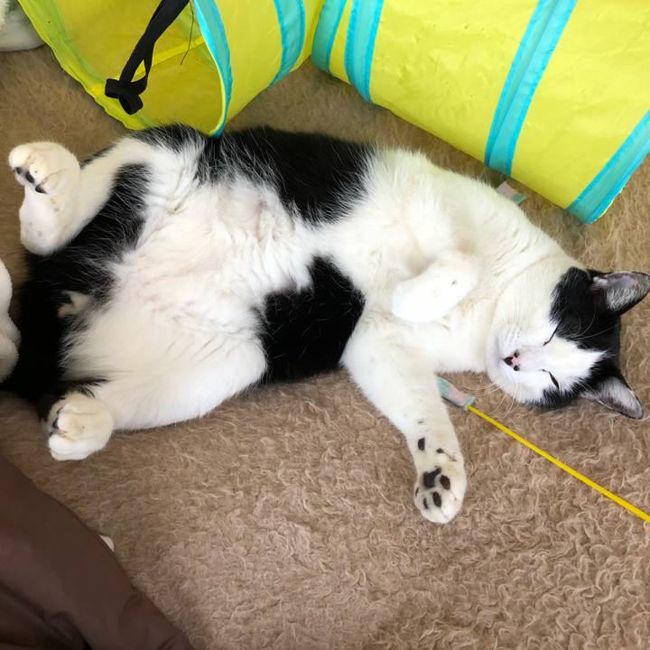 8836dc0a 627c 476d b8e2 14443a4febd7 1546656018694