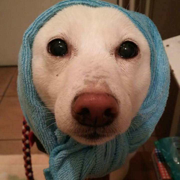 8836e380 555d 4b99 b93a 54b1edbec0d1 1575424064907