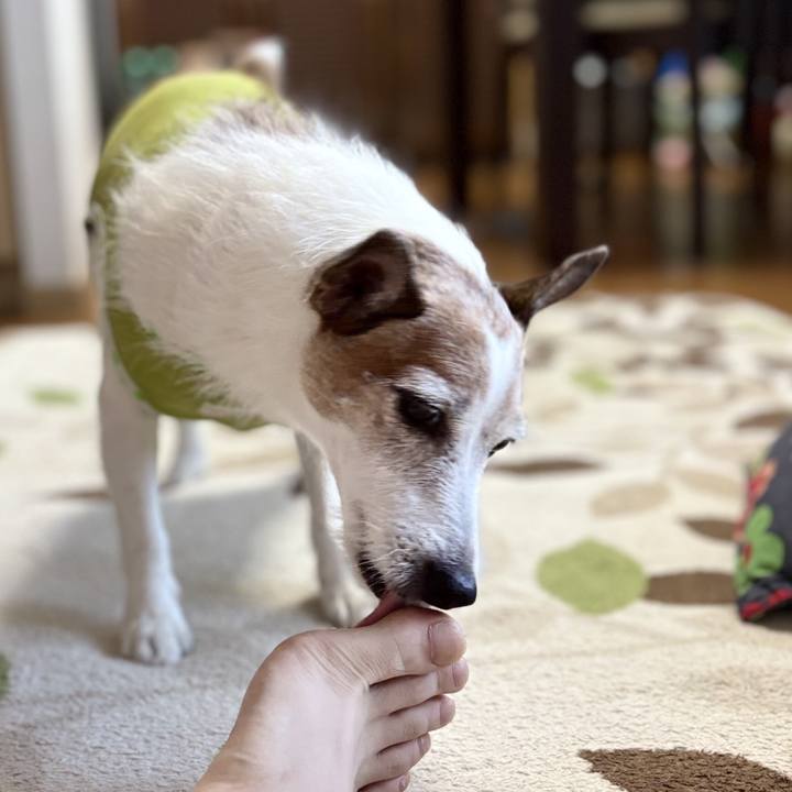 8836ef51 2bd8 44c2 bc19 475cf7c5544b 1756769220553