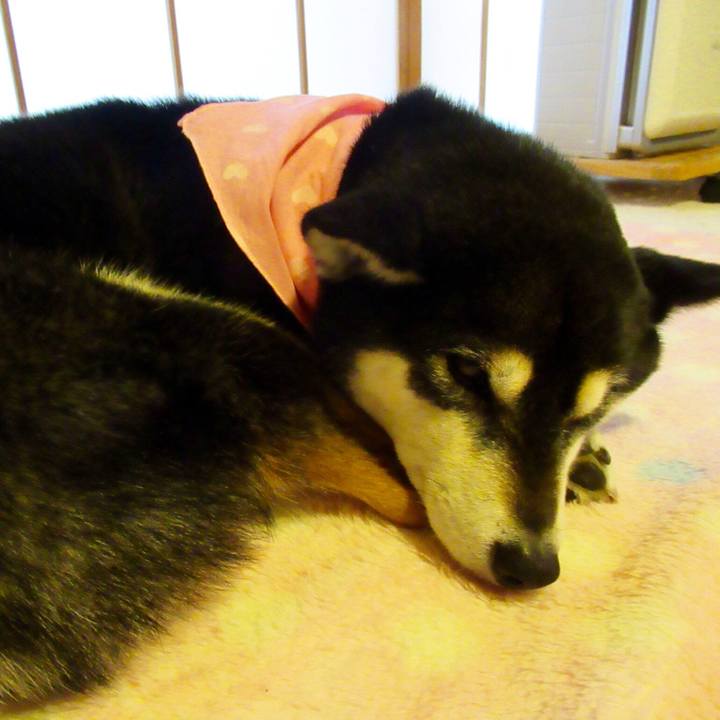 88370bed 86fa 42f1 b83c fb9ec99b55c5 1552701367092