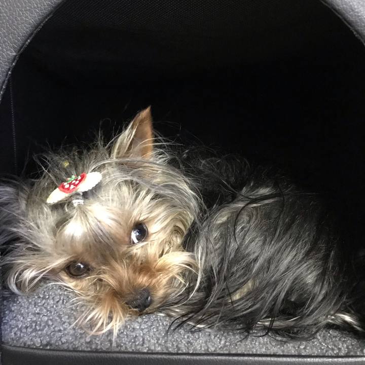 88374637 66df 48c3 b39f b547a233081f 1651628858759